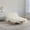 Antique White, variant on GDF Studio Floren Corduroy Bean Bag Accent Chair with Solid Wood Frame, Lazy Sofa for Living Room, Antique White