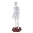 thumbnail image 2 of S SERENABLE Female Human Model Chinese Meridian Model with Points, Height 19, 2 of 9