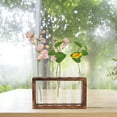 thumbnail image 4 of OULII Hydroponic Vase Test Tube Glass Smooth 1 Set, 4 of 8