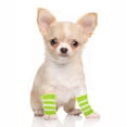 thumbnail image 4 of Unique Bargains Pack of 4 Dog Soft Knitted Socks Joint Protection Green White L, 4 of 7