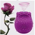 thumbnail image 1 of RO Vibrador de succión de juguete para mujeres y parejas, morado Sincero Electrónica, 1 of 4