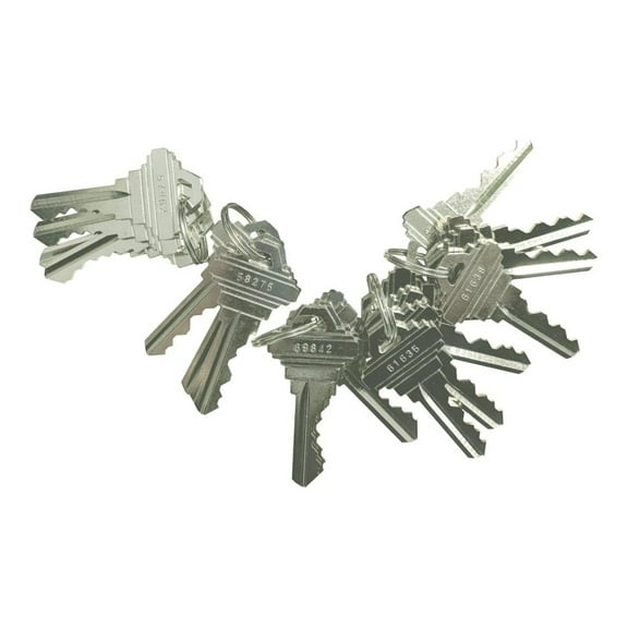 20 Pieces SC1/SC4 Compatible Pre-Cut Keys 5 Pins 5 Sets of 4 SC Keys