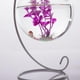 thumbnail image 3 of Maceta de Flores de con Forma de Colgante Contenedores de Florero Hidropónico Mini Acuario, 3 of 6