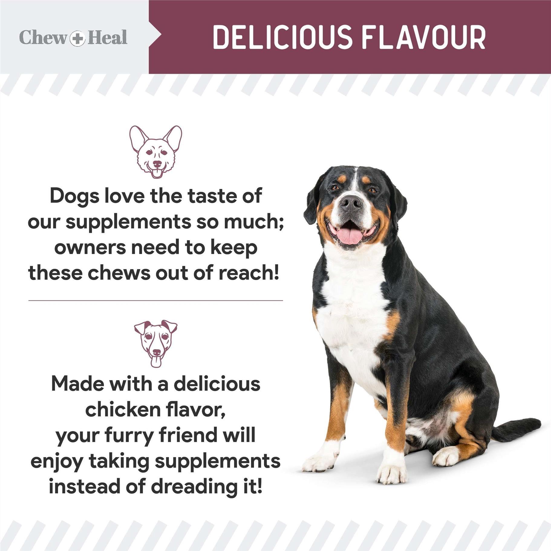 Chew + Heal Senior Dog 12-in-1 Multivitamin Soft Chews – Complete Daily Supplement for Joint, Skin, Digestive, and Immune Health – 120 Count