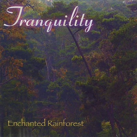 Enchanted Rainforest