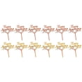 thumbnail image 1 of 12 unids Acrílico Tapas Toppers Pastel Decorativo Inserciones Fiesta de boda Decoración de pasteles, 1 of 6