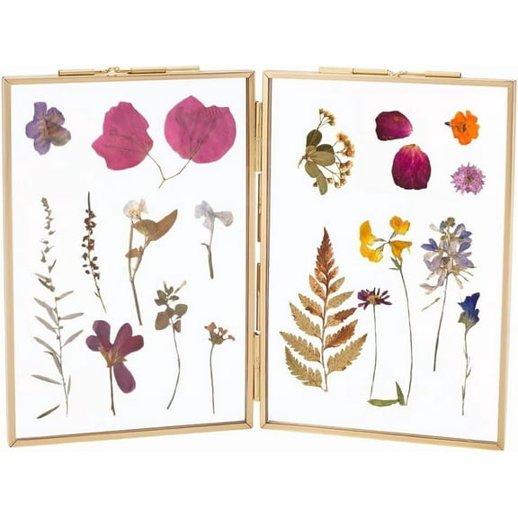 Brass Photo Frames Pressed Flower Frame Double Picture Frames Golden with Glass Display Hinged Folding Frames