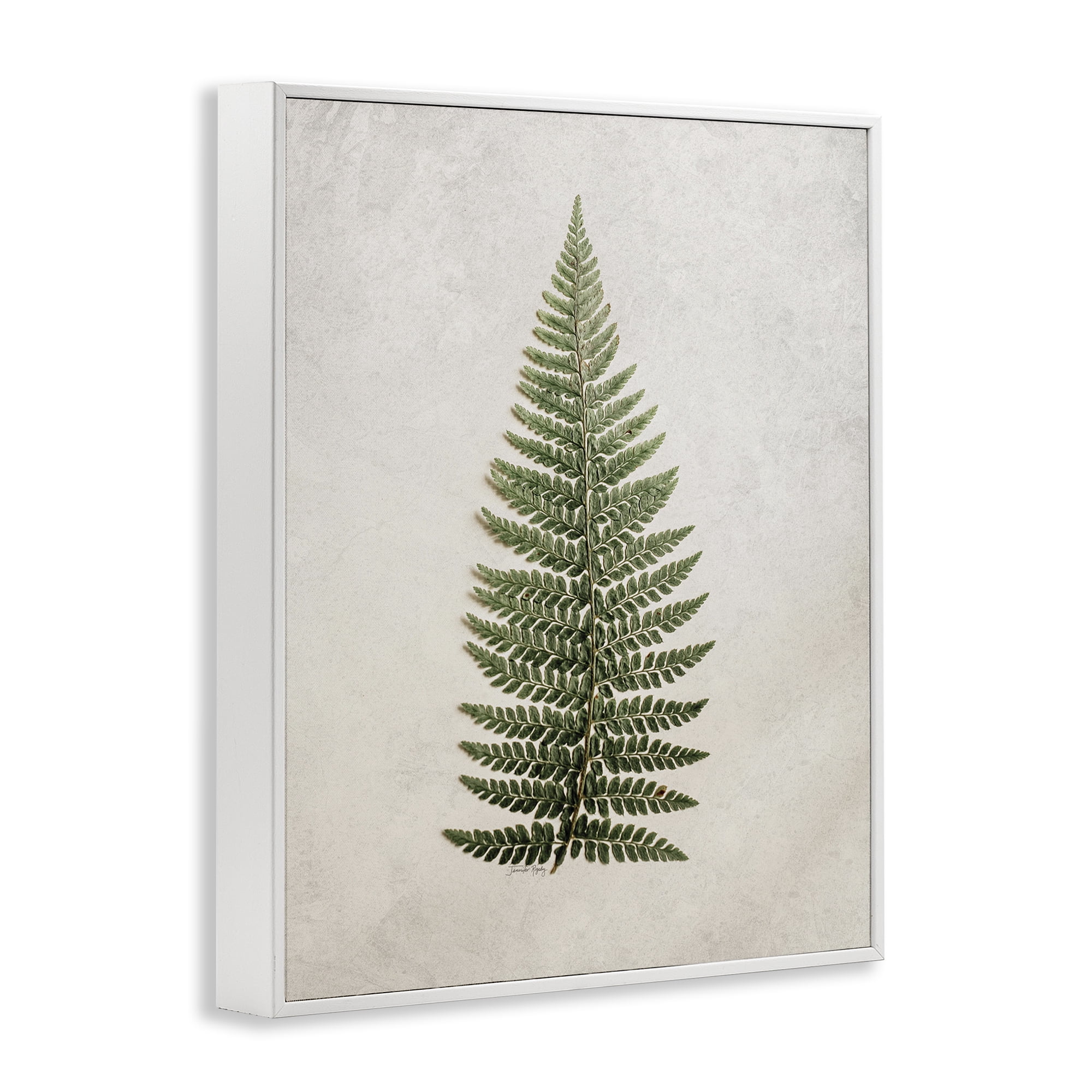 Stupell Industries Detailed Fern Leaf Botanical & Floral Painting White Framed Art Print Wall Art, 16 x 20