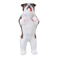 thumbnail image 1 of Disfraz inflable para perro, accesorio para fotos, para fiesta, cumpleaños, Pascua Blanco, 1 of 9