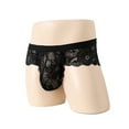 thumbnail image 2 of Tao Tao Men's Underwear Mesh Lace Pouch Underpants Sheer Low Rise Briefs Hipster Panties Passionate Thong Black M, 2 of 3