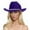 PP2, variant on Riforla Men's and Women's Woolen Hats Western Cowboy Top Hat Three of Rhinestones Sun Hats Pink