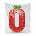 thumbnail image 1 of Numbers Soft Flannel Fleece Throw Blanket, Number 0 Strawberry Style Mathematics Algebra Organic Food Healthy, Cozy Plush for Indoor and Outdoor Use, 50" x 70", Vermilion Green Orange, by Ambesonne, 1 of 6