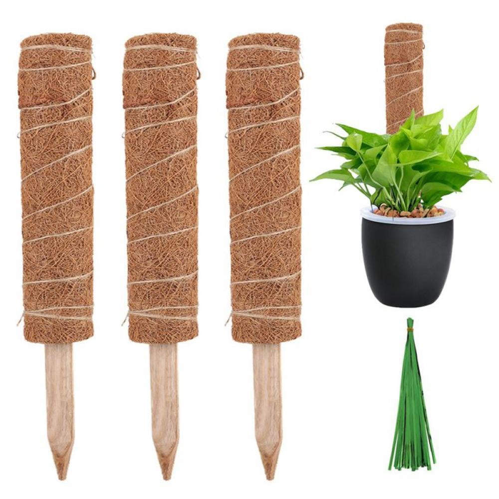 TCBWFY Moss Poles for Plant,Coir Moss Stick for Creepers Plant Support Extension 2 Pack 16 Inch Plant Support Totem Pole 2 Pack 36 Inch Coir Totem Pole 