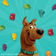thumbnail image 2 of Betty Crocker Scooby Doo DNF2&nbsp;Fruit Flavored Snacks, Treat Pouches, Value Pack, 22 ct, 2 of 5