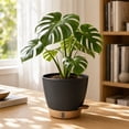 thumbnail image 2 of FEOLGEHLY 2 Pack 5.9 inch Self Watering Pots for Indoor Plants, Planters for Indoor Plants, Flowerpot with Wick & Reservoir, Black, 2 of 8