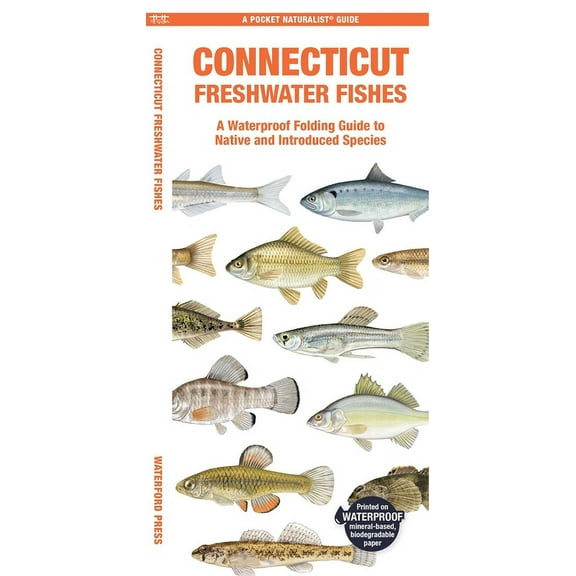 Pocket Naturalist Guide: Connecticut Freshwater Fishes : A Waterproof Folding Guide to Native and Introduced Species (Other)