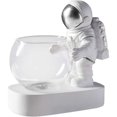 thumbnail image 1 of Jarrón de vidrio astronauta con maceta de astronauta con LED Maceta nórdica moderna con luz para suculentas, 1 of 5