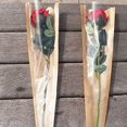 thumbnail image 2 of 50 Pcs Single Rose Packaging Bags Flower Bouquet Wrapping, 45*12*3cm, Not Contain Flowers, Green, 2 of 3