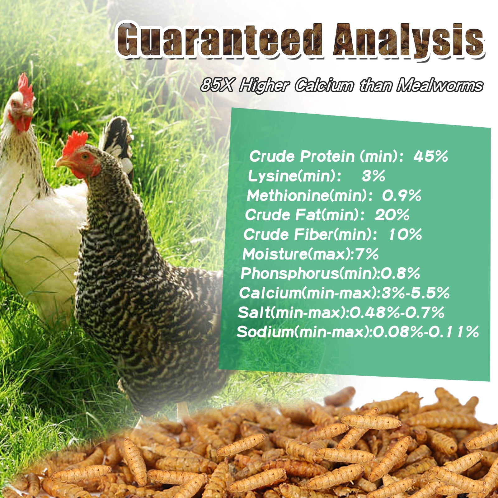 RIDWIND Dried Black Solidier Fly Larvae 44Lbs High-Protein BSF Larvae Chicken Treats Non-GMO BSFL for Chickens Hens, Ducks Wild Birds