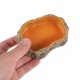 thumbnail image 5 of BESTYASH Plato De Alimentación Para Reptiles En Resina Para Comida Y Duradero, 5 of 6