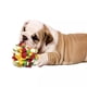 thumbnail image 5 of Bola de Snuffle Yuyangstore Duradera para Perros Juegos Interactivo 4 colores, 5 of 8