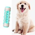 thumbnail image 4 of de Dentición MASTICO TRATAMIENTO INTERACTIVE DISPENSOR de PERRO de PERRO DIENTE NATURAL LIMPIEZA de FÁCILES de LIMPIEZA SIN CRIBIENDO Colco Juguetes para masticar cachorros, 4 of 8