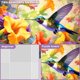 thumbnail image 4 of Rompecabezas VOLUVOLU, 500 piezas, con diseño de colibrí con forma de flor, 4 of 6