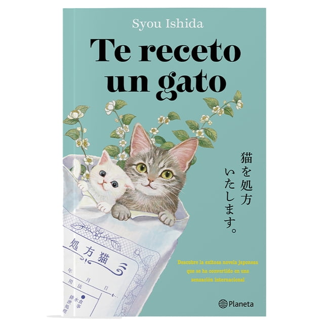 Te Receto Un Gato Planeta Libro de bolsillo 1ra edicción