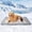 Light Gray, variant on Summer Cooling Mat & Sleeping Pad- Water Absorption Top, Materials Safe, Easy Carry, EZ Clean. Keep Cooling for Pets, Kids and Adults.