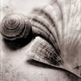 thumbnail image 3 of Schlabach, Sue 15x15 Black Modern Framed Museum Art Print Titled - Ocean Treasures Square, 3 of 5