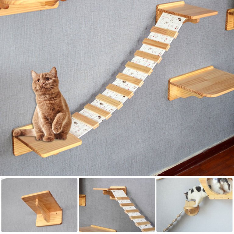 Cat 2025 stairs walmart