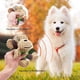 thumbnail image 3 of Juguetes para Perros que son Resistentes al Mordisco y Sirven para Morder y Afilar los Dientes., 3 of 5