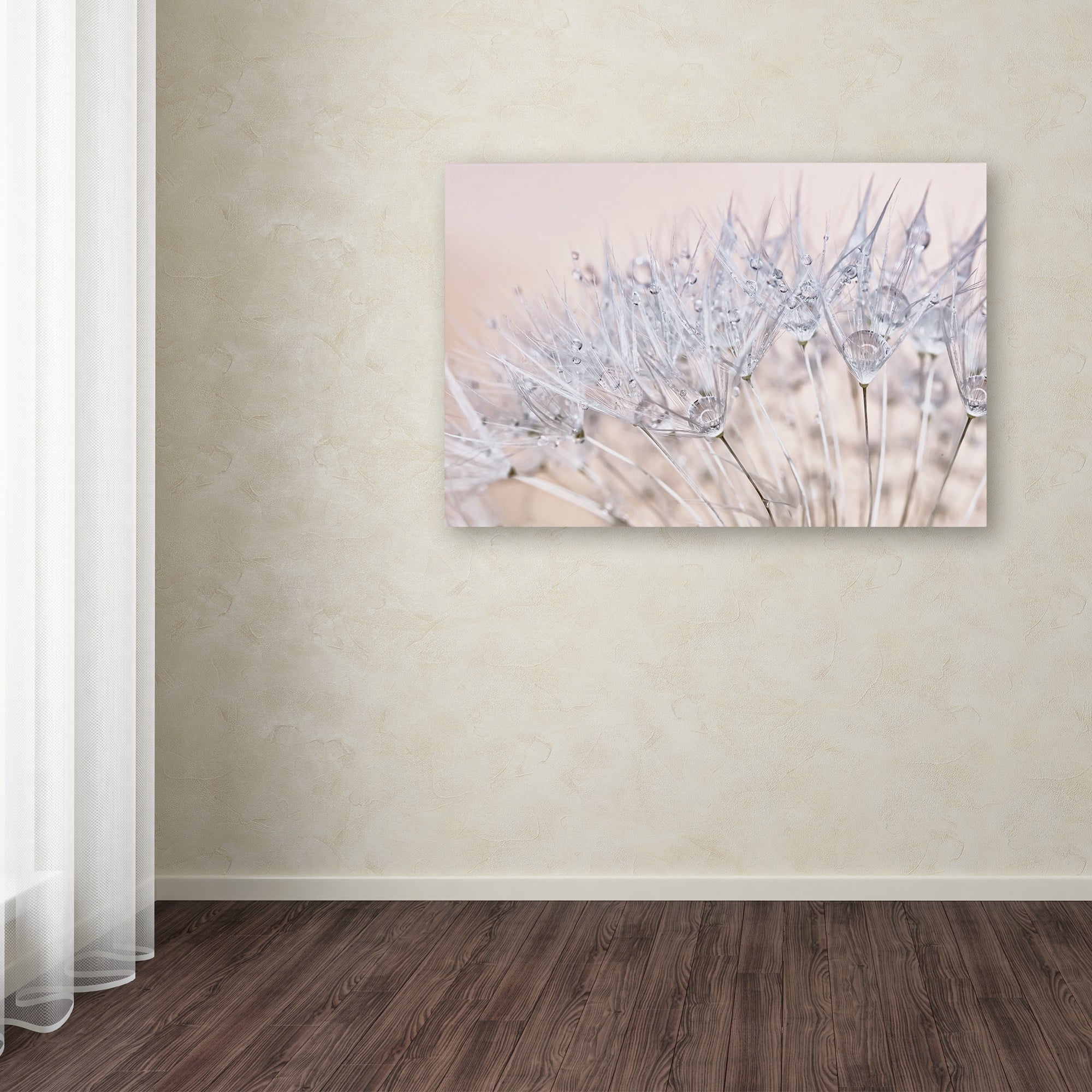 Trademark Fine Art 'Dandelion Dew II' Canvas Art by Cora Niele