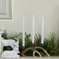 thumbnail image 5 of Northlight Set 2 White Wax Flameless LED Taper Christmas Candles 11", 5 of 5