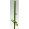 Gilbert&Bennet 5' Sturdy Stakes Plant Support, GNBT3136