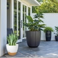 thumbnail image 4 of FIASON 5 Pack 6 Inch White with Brown Self Watering Plant Pots, with Watering Lip, Drainage Holes & Removable Saucer, Flower Planters for Indoor Outdoor Garden House Plants, 4 of 11