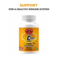 Vitamin C 1000 mg with 30 mg Rose Hips Immune system booster 120