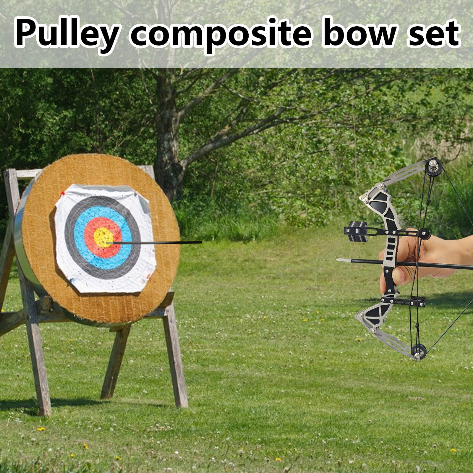 9.5 Inch Professional Compound Bow Set - High-Power Stainless Steel Pulley System for Target Practice & Stress Relief, Includes 4 Arrows & Armor-Piercing Bow (Indoor/Outdoor Use)