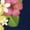 True Navy, variant on Tropical Toucan Paradise Vacation Graphic Women's T-shirt
