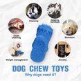 thumbnail image 7 of Dsseng Dog Chew Toys Indestructible - Squeaky Interactive Dog Toys for Teeth Cleaning, Rubber Dog Chew Toy with Beef, 7 of 7