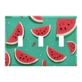 thumbnail image 2 of Dailycode Light Switch Plate Covers 2 Gang Wall Plate Plastics Outlet Covers for Kitchen Home Office Decor Various Watermelon, 2 of 8