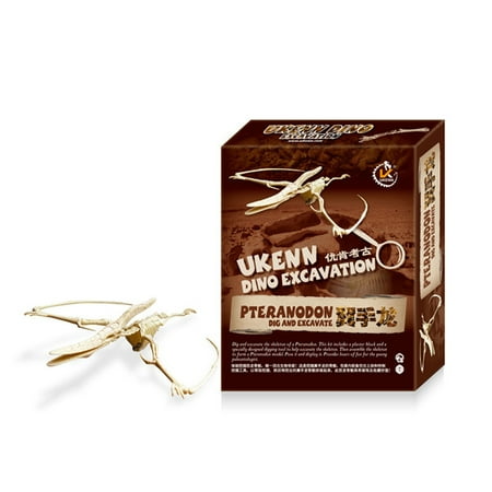 Excavation Tool - Early Education Large Dinosaur Skeleton Excavation Kit Assembled Toy with Digging Tools Specification:Pterodactyl