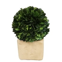 BOXWOOD WORLD Preserved Boxwood Ball Topiary for House Decor Potted Preserved Mini Boxwood Topiary All Season Green Topiary Decor