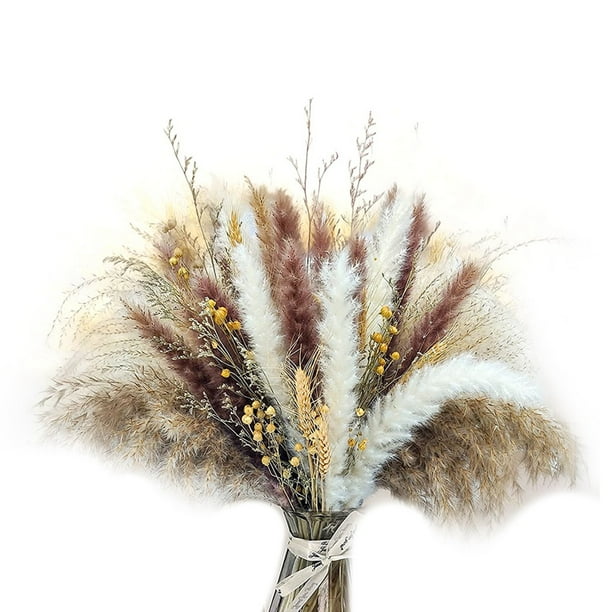 Pampas Grass, Dried Pampas Grass Bouquet, Natural Pampas Grass Decor