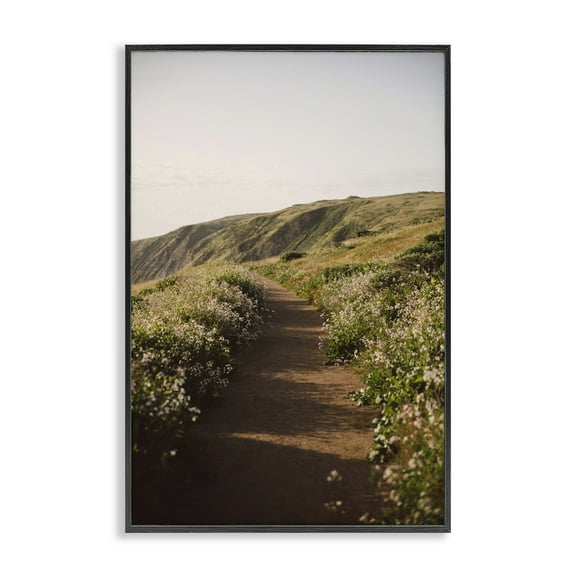 Stupell Industries Path by Beach Coast Landscape & Nature Photography Black Framed Art Print Wall Art, 12 x 18