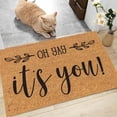 thumbnail image 4 of Waterproof Coir Mats Outdoor Door Mat Inside Summer Rug Outdoor Low-Profile Non-Slip Front Welcome Mat Perfect for Front Door and Entryway Outdoor and Indoor, 16x24 Inch OH yAy it's you!, 4 of 5