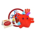 thumbnail image 2 of Órgano de corazón de felpa con diseño anatómico de microbios gigantes, 6 cm, 2 of 9