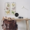 thumbnail image 4 of Stupell Industries Delicate Winged Butterfly Trio Animals Painting Wrapped Canvas Art Print Wall Art, 10 x 24, Set of 2, 4 of 8