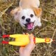 thumbnail image 5 of pares de juguetes de dentición de goma para perros, tamaño pequeño, con forma de pollo chillón, descompresión, amarillo, para limpiar los dientes., 5 of 5