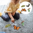 thumbnail image 4 of Fridja 4 Piece Insect Figure Butterfly Life Cycle Plastic Brood To Mature Period, 4 of 6
